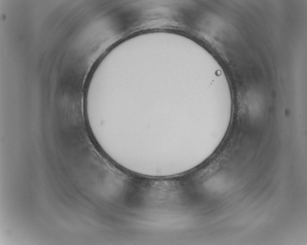 X0000069841322200606021351