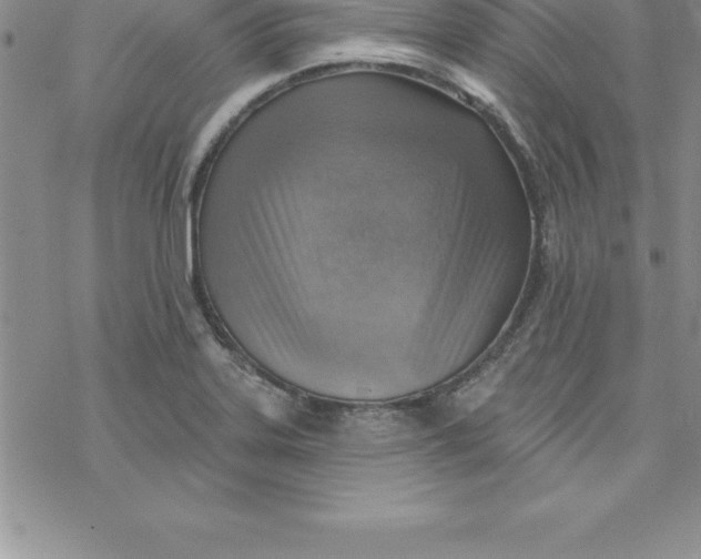 X0000069841323200606021351