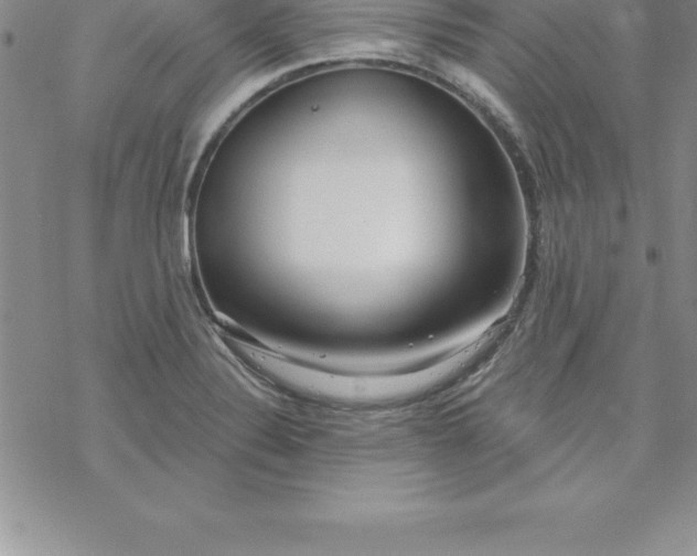 X0000069841324200606021351