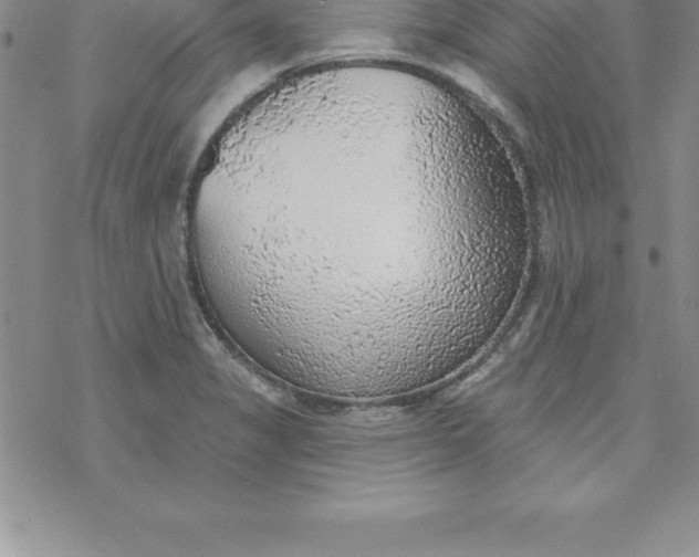 X0000069841325200606021351