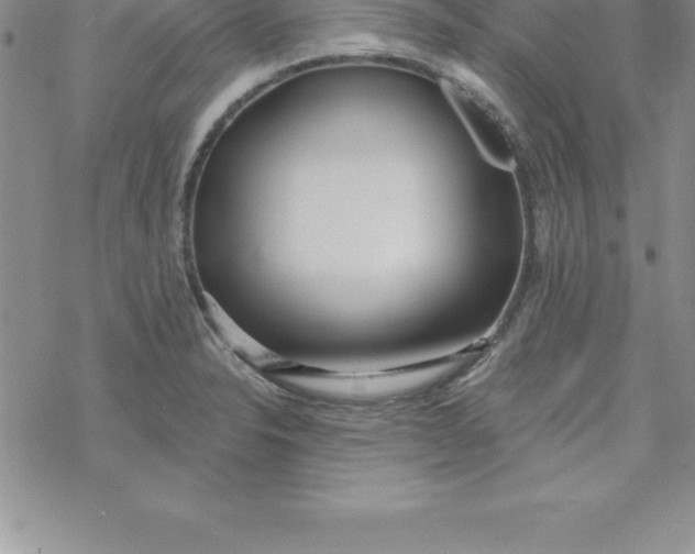 X0000069841326200606021352