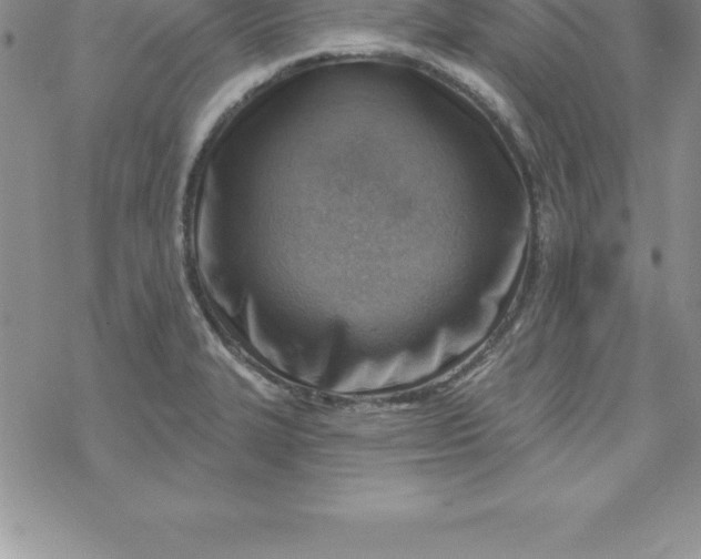 X0000069841327200606021352