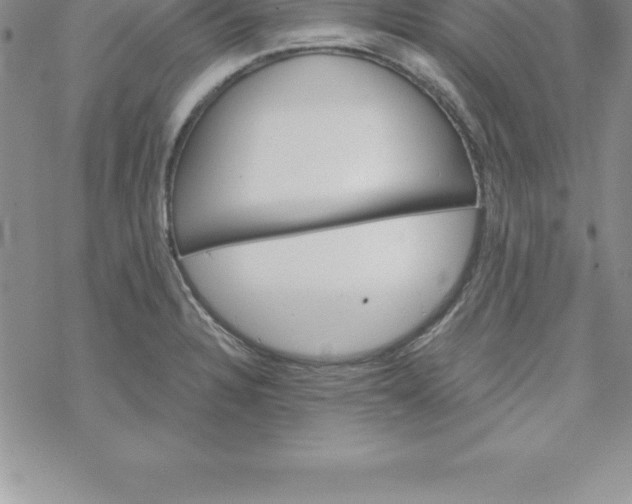 X0000069841328200606021352