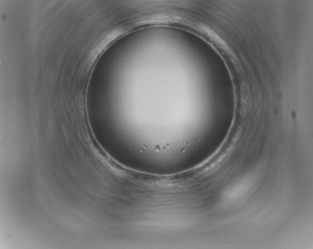 X0000069841329200606021352