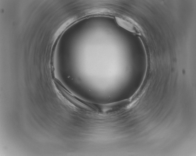 X0000069841330200606021352