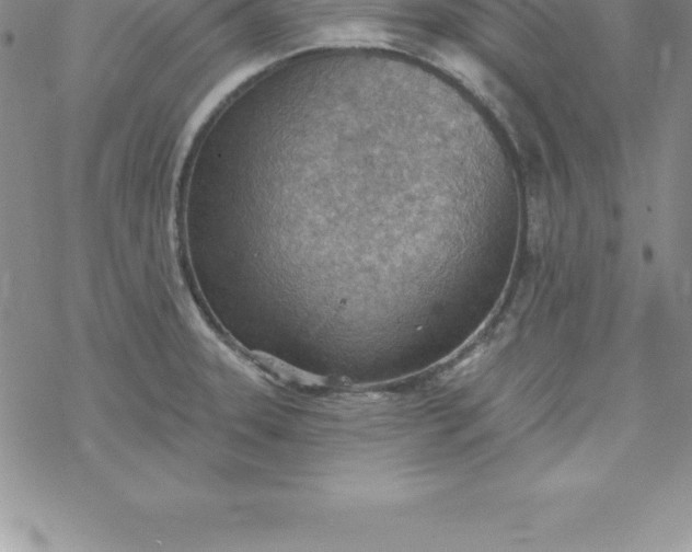 X0000069841331200606021352