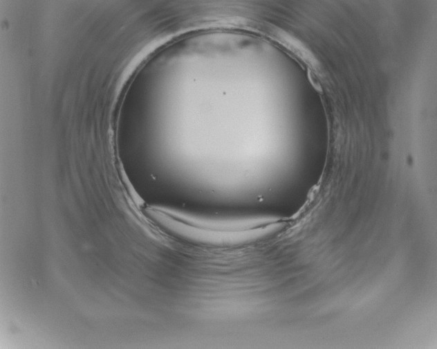 X0000069841332200606021352