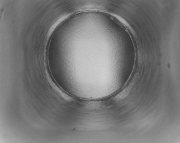 X0000069841333200606021352