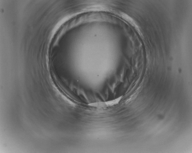 X0000069841334200606021352