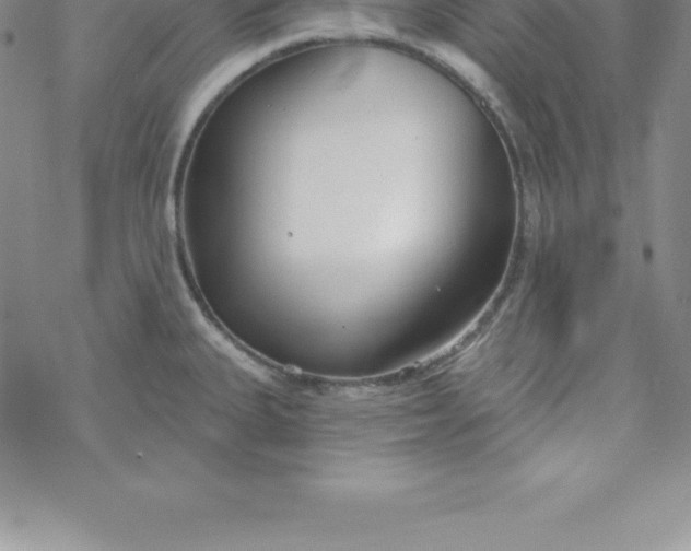 X0000069841335200606021352