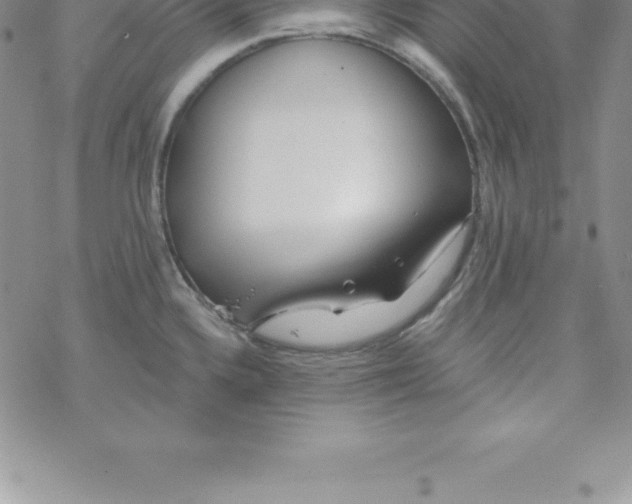 X0000069841336200606021352