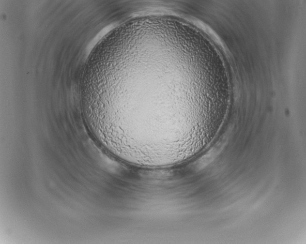 X0000069841337200606021352