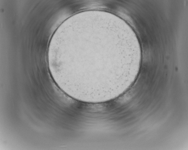 X0000069841338200606021352