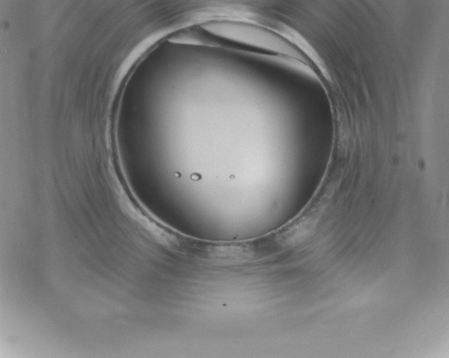 X0000069841339200606021352