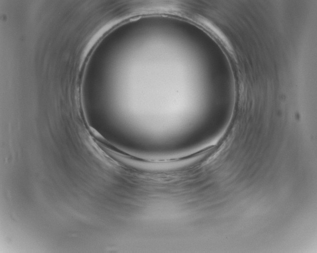 X0000069841340200606021352