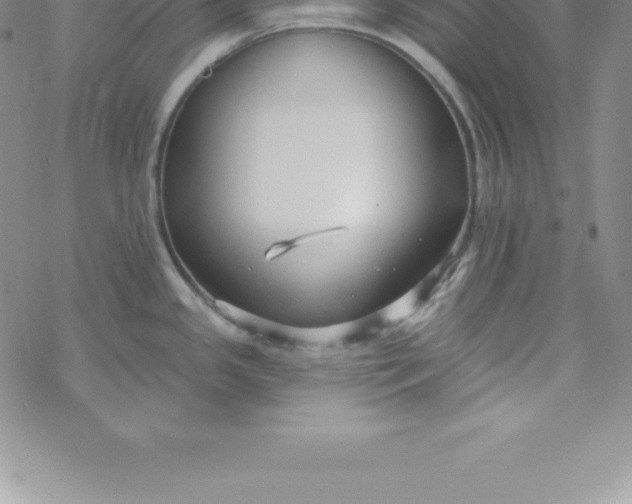 X0000069841341200606021352