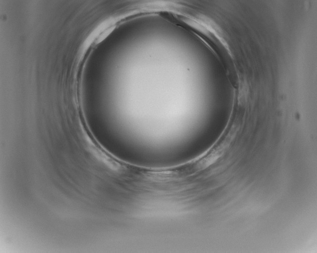 X0000069841342200606021352