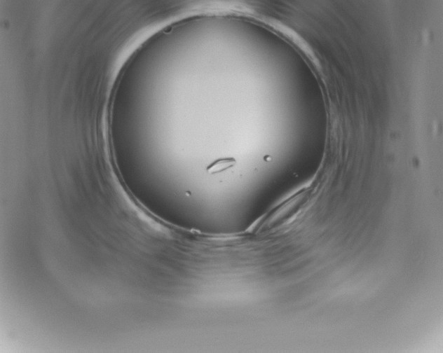 X0000069841343200606021352