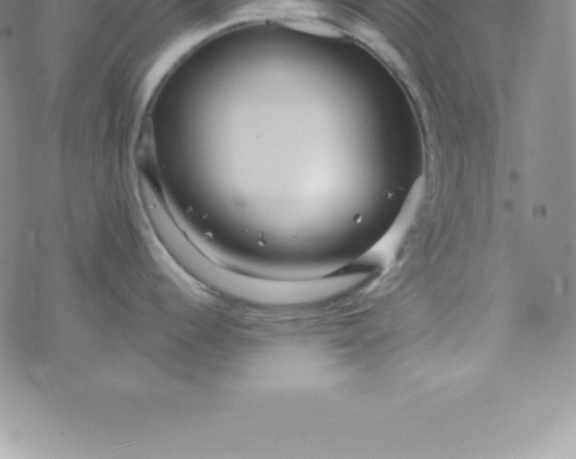 X0000069841344200606021352