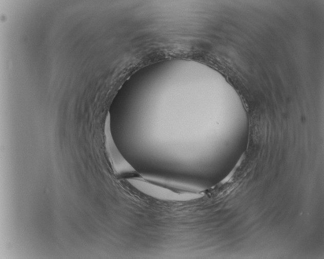 X0000069841345200606021351