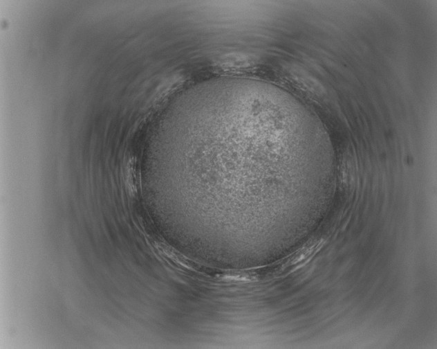 X0000069841346200606021351