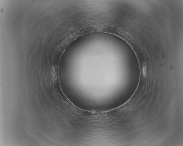 X0000069841347200606021351