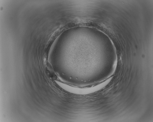 X0000069841348200606021351