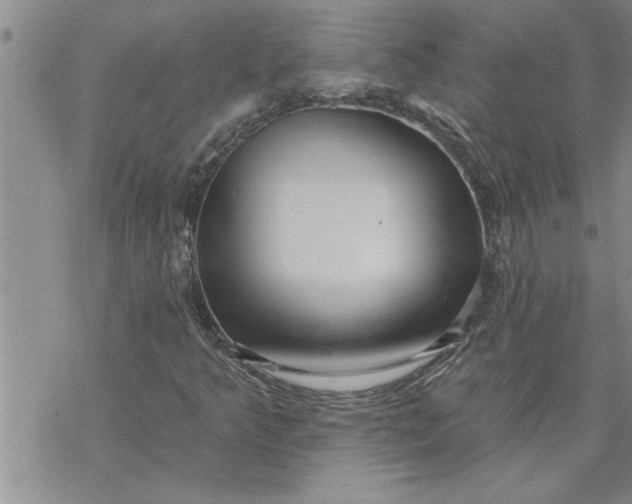 X0000069841349200606021351