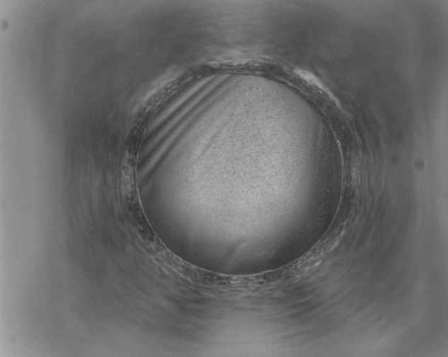 X0000069841350200606021351