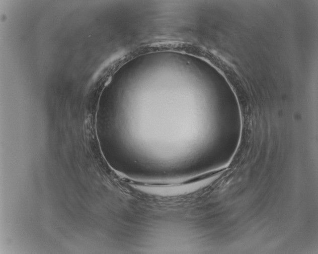 X0000069841351200606021351