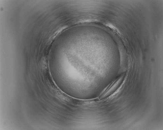 X0000069841353200606021351