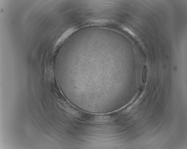 X0000069841354200606021351