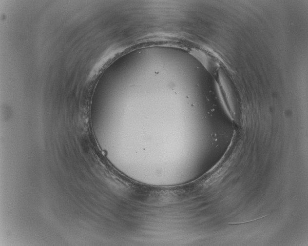 X0000069841355200606021351