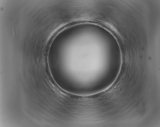 X0000069841356200606021351