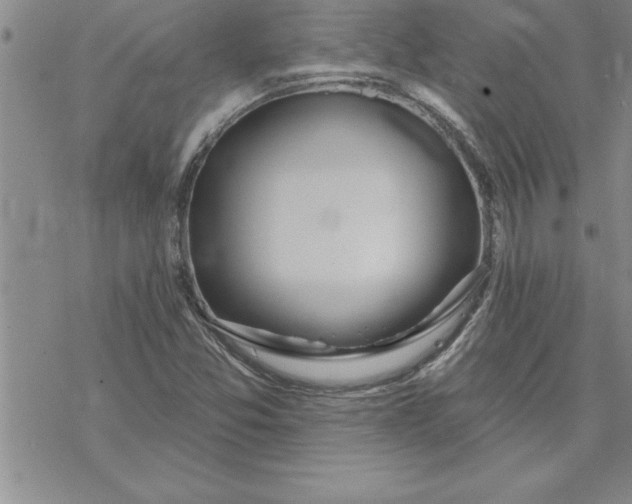 X0000069841357200606021351