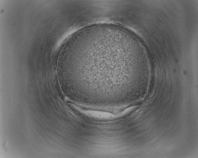 X0000069841359200606021351