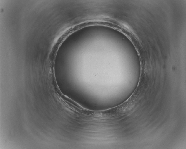 X0000069841360200606021351