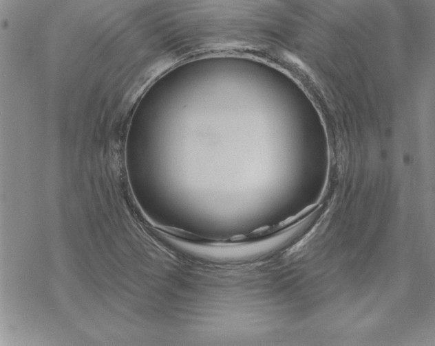 X0000069841361200606021351