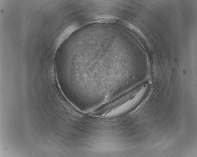 X0000069841362200606021351