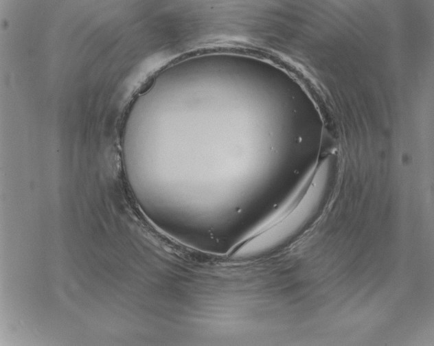 X0000069841363200606021351