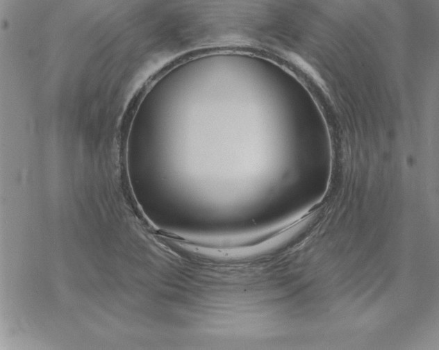 X0000069841364200606021351