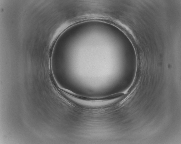 X0000069841365200606021351