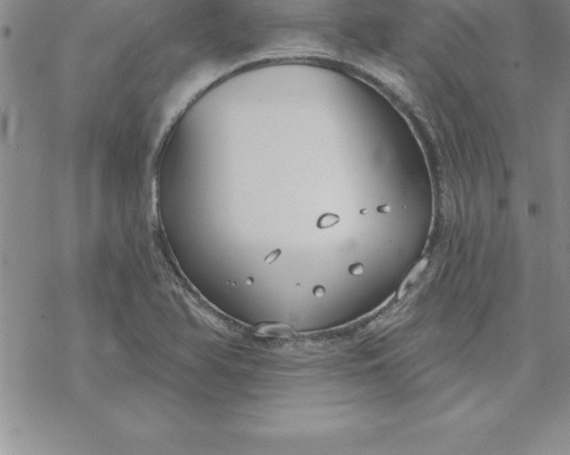 X0000069841366200606021351