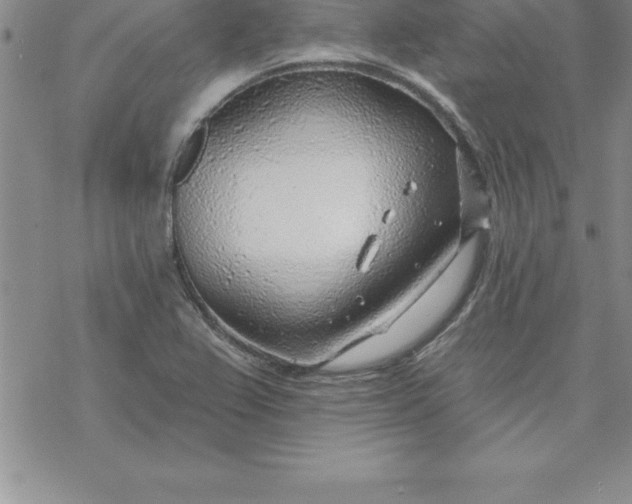 X0000069841367200606021351