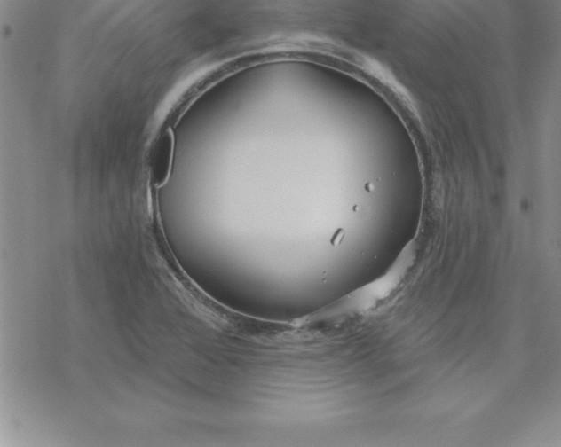 X0000069841368200606021351