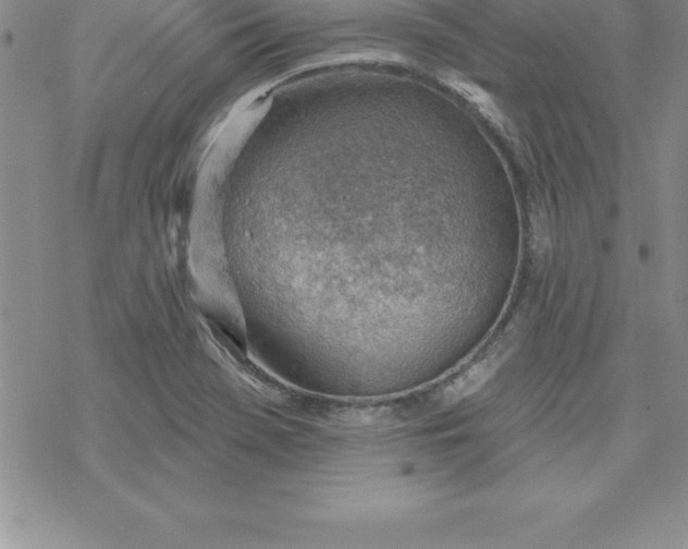 X0000069841369200606021351