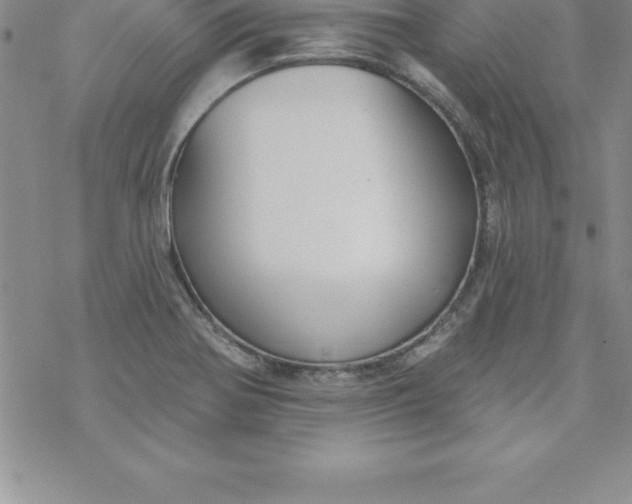 X0000069841370200606021351