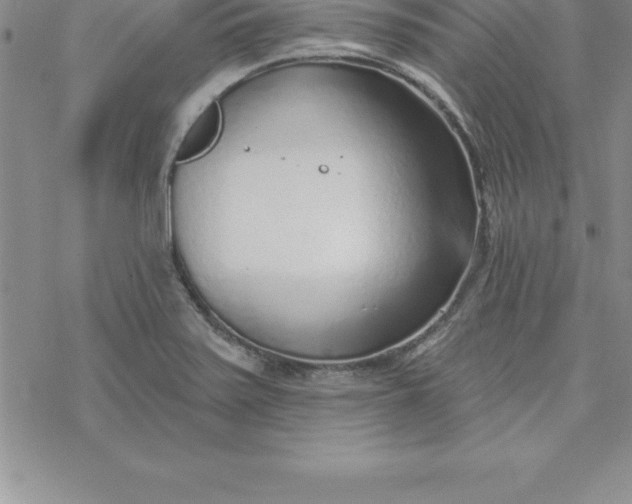 X0000069841371200606021351