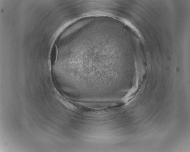 X0000069841372200606021351