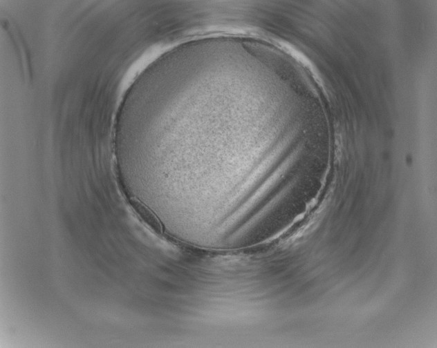 X0000069841373200606021351